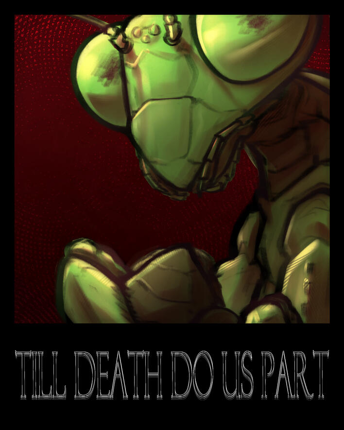 TILL DEATH DO US PART